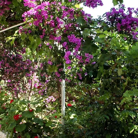 With A Parking Space Hvar - 624 Lejlighed